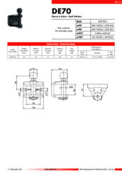 Technical Data V.Orlandi DE70