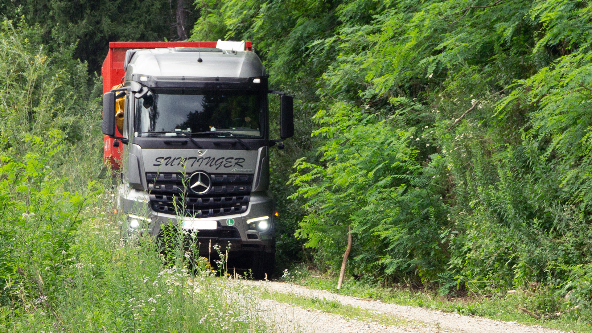 Truck in silver and red driving through the forest